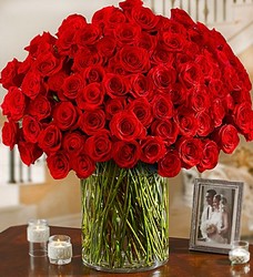 100 Premium Roses in a Vase Flower Power, Florist Davenport FL